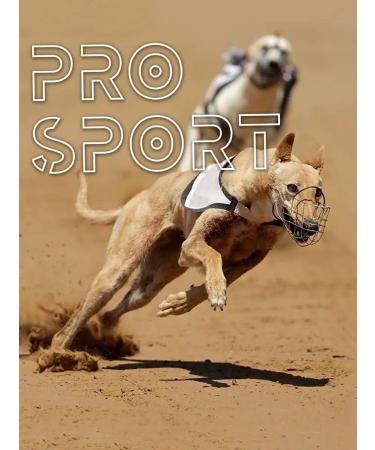 Green QZin A treat for dogs and cats for training - Buy Online on GoSupps.com