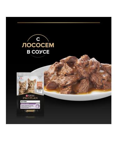 PRO PLAN Wet feed for kittens salmon in sauce 85 g 10 pcs - Buy Online on GoSupps.com