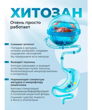 Doctor Sea Chitosan 85% from the shell of Kamchatka crab 60 capsules - Buy Online on GoSupps.com