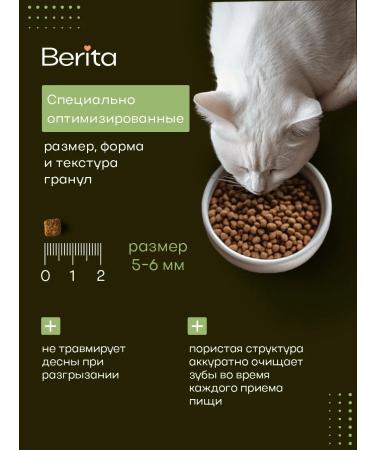 BERITA Feed for sterilized cats with turkey and veal 2 kg - Buy Online on GoSupps.com