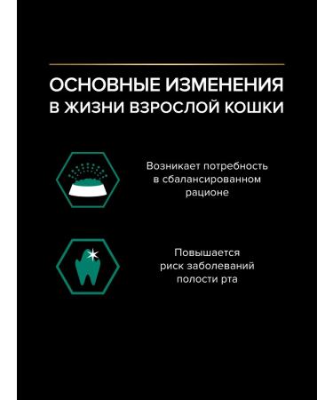 PURINA ONE Wet food for adult cats beef 85 g x 26 pcs - Buy Online on GoSupps.com