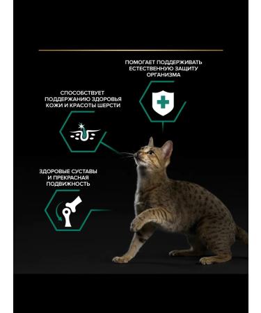 PURINA ONE Wet food for adult cats beef 85 g x 26 pcs - Buy Online on GoSupps.com