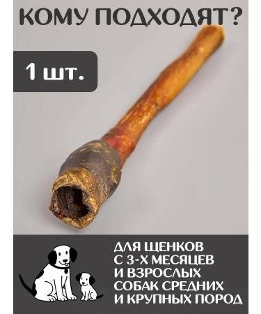 FOR RODENT DOG Dog treats horse root 50 cm 200 g - Buy Online on GoSupps.com