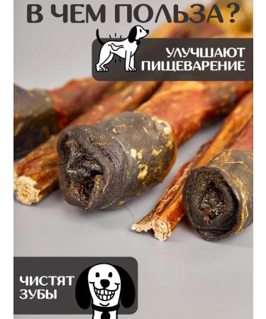 FOR RODENT DOG Dog treats horse root 50 cm 200 g - Buy Online on GoSupps.com