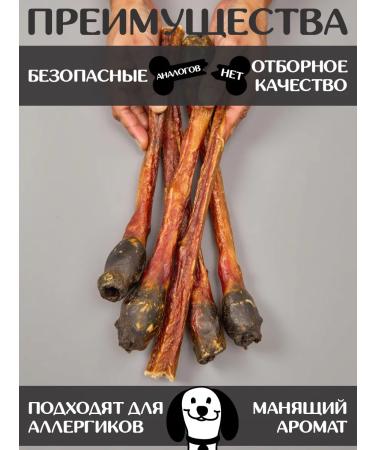 FOR RODENT DOG Dog treats horse root 50 cm 200 g - Buy Online on GoSupps.com