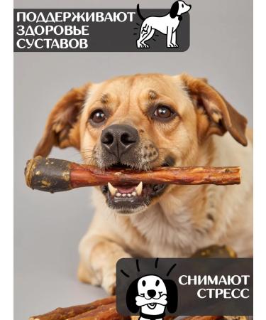 FOR RODENT DOG Dog treats horse root 50 cm 200 g - Buy Online on GoSupps.com