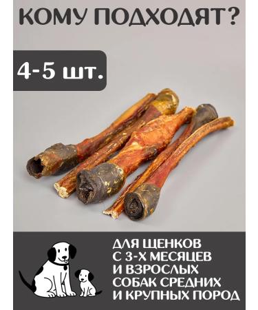FOR RODENT DOG Dog delicities horse root 35 cm 1000 g - Buy Online on GoSupps.com