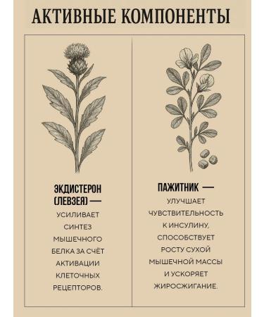 POTION MAKER Testosterone for men - Buy Online on GoSupps.com