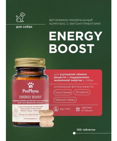 ProPhyto Profito Energy Bust 100 tablets