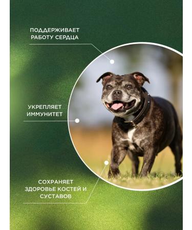 ProPhyto Profito Senor Sapport 30 tablets - Buy Online on GoSupps.com