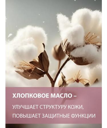 BELWEDER Balm for lips is pearl with pink oil - Buy Online on GoSupps.com