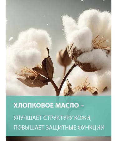 BELWEDER Lip balm protective-regenerating with aloe - Buy Online on GoSupps.com