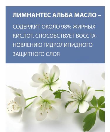 BELWEDER Manifesting tint balm with phytosterol currant - Buy Online on GoSupps.com