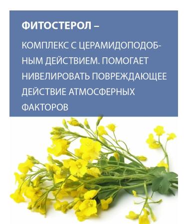 BELWEDER Manifesting tint balm with phytosterol currant - Buy Online on GoSupps.com