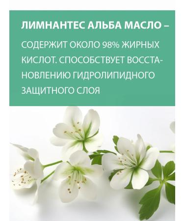 BELWEDER Manifesting tint balm with phytosterol pink - Buy Online on GoSupps.com