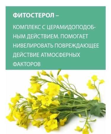 BELWEDER Manifesting tint balm with phytosterol pink - Buy Online on GoSupps.com