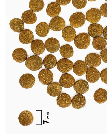 Brit Dry food for cats with sensitive digestion 8 kg - Buy Online on GoSupps.com