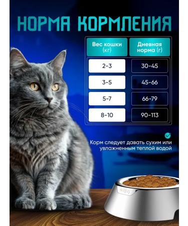 Brit Dry food for cats with sensitive digestion 8 kg - Buy Online on GoSupps.com