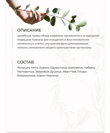 Caucasian Healer Collection of Herves of the Caucasus Cleaning Liver Herbal Tea Tea - Buy Online on GoSupps.com