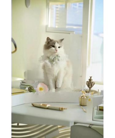 EasyMarkus Lace collar for dogs and cats bow in a green cage - Buy Online on GoSupps.com