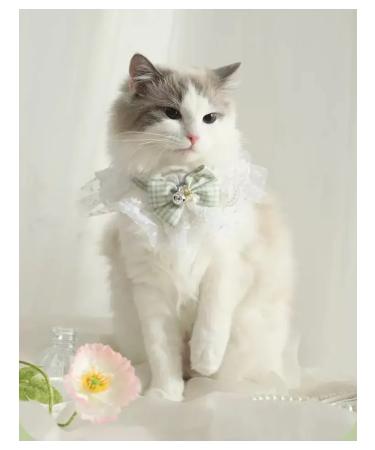 EasyMarkus Lace collar for dogs and cats bow in a green cage - Buy Online on GoSupps.com