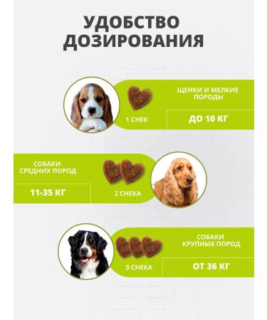 BEST PETS Vitamins for dogs with a probiotic omega-3 coenzyme colostrum - Buy Online on GoSupps.com