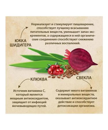 Prime Ever Dry food for kittens of all rocks turkey 1.5 kg - Buy Online on GoSupps.com