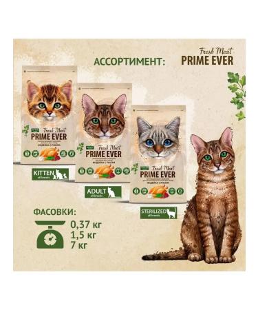 Prime Ever Dry food for kittens of all rocks turkey 1.5 kg - Buy Online on GoSupps.com