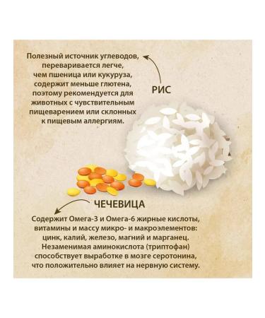 Prime Ever Dry food for dogs of small breeds turkey 2.8 kg - Buy Online on GoSupps.com