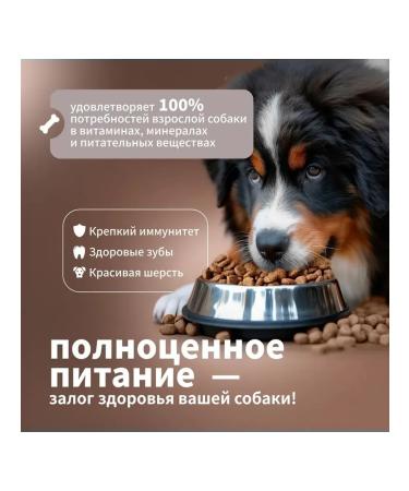 DILLY Dry food for dogs turkey with rice 14 kg - Buy Online on GoSupps.com