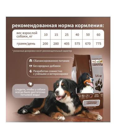 DILLY Dry food for dogs turkey with rice 14 kg - Buy Online on GoSupps.com