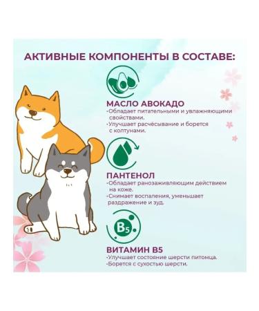 TOSHIKO Contractor-Container for dogs 300 ml - Buy Online on GoSupps.com