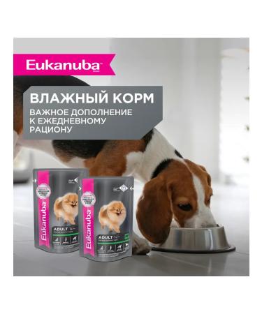 Eukanuba For adult miniature dogs with a bird 1.5kg - Buy Online on GoSupps.com