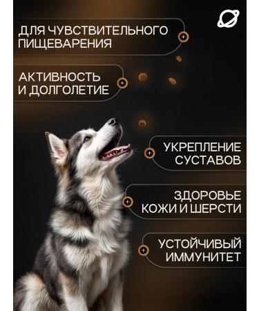 Feed for older dogs dry cosmodog with turkey 2 kg - Buy Online on GoSupps.com