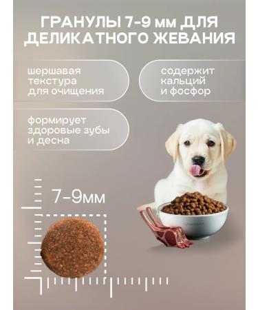 cosmodog Dry food for puppies with lamb 0.8 kg - Buy Online on GoSupps.com