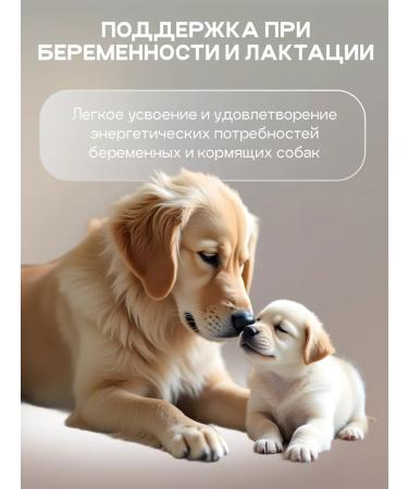cosmodog Dry food for puppies with lamb 2 kg - Buy Online on GoSupps.com