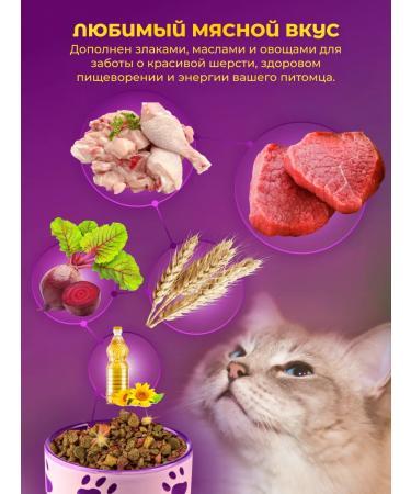 Cat food dry 900 g - Buy Online on GoSupps.com