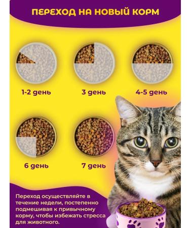 Cat food dry 900 g - Buy Online on GoSupps.com