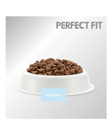 PERFECT FIT Sensitive food for sensitive cats salmon 0.65 kg 4 pcs - Buy Online on GoSupps.com