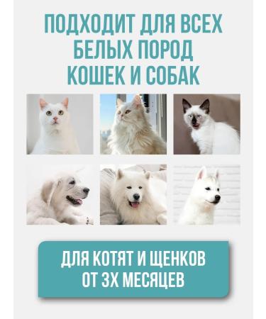 TAILY White shampoo for cats and dogs - Buy Online on GoSupps.com