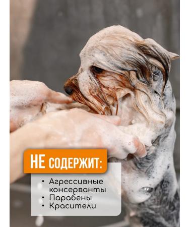 TAILY Dog and cat shampoo for long -haired - Buy Online on GoSupps.com