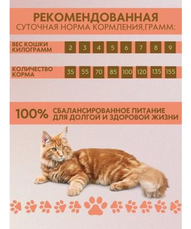 Dry food for adult cats bravadi - Buy Online on GoSupps.com