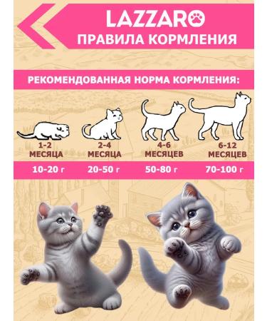 Lazzaro Dry food for kittens with turkey and rice - Buy Online on GoSupps.com