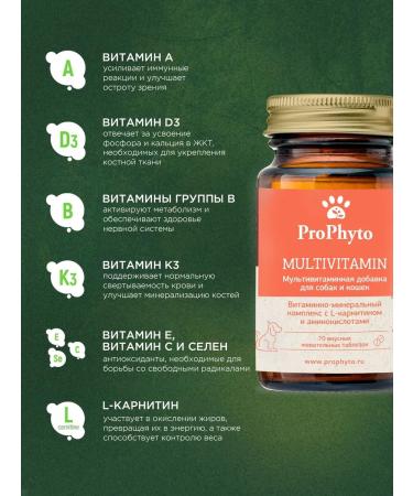 ProPhyto Profit multivitamin 70 tablets - Buy Online on GoSupps.com