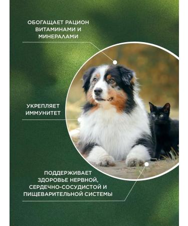 ProPhyto Profit multivitamin 70 tablets - Buy Online on GoSupps.com