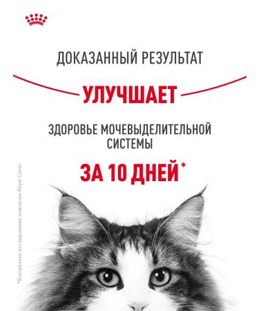 ROYAL CANIN Dry food for cats Urinary Care 2 kg - Buy Online on GoSupps.com