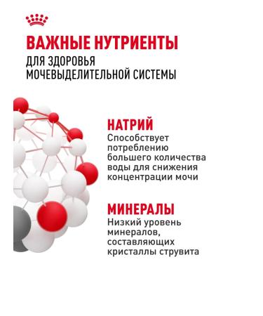 ROYAL CANIN Dry food for cats Urinary Care 400 g - Buy Online on GoSupps.com