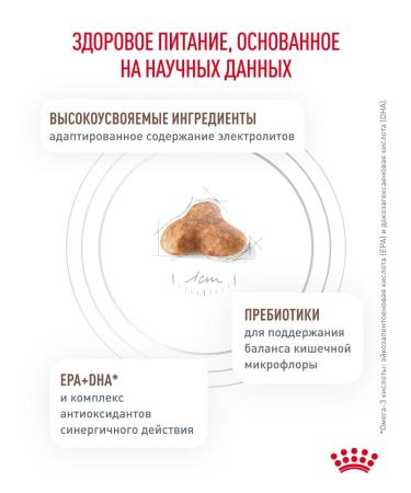 ROYAL CANIN Dry food for cats with constipation dietary 0.35 kg - Buy Online on GoSupps.com