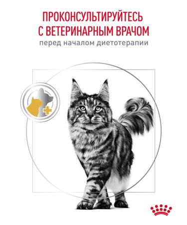 ROYAL CANIN Dry food for cats Urinary S o Therapeutic 350 g - Buy Online on GoSupps.com