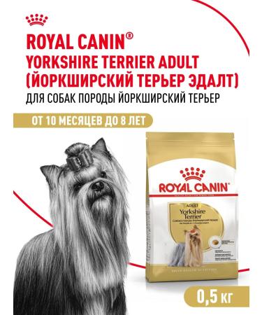 ROYAL CANIN Dry food for dogs of the breed Yorkshire Terrier 0.5 kg